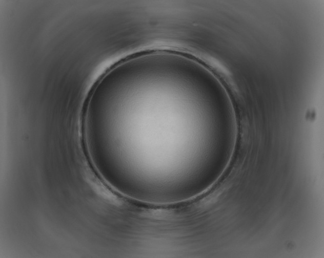 X0000093251280200710031555