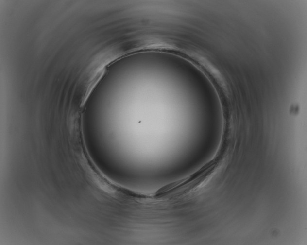 X0000093251281200710031555