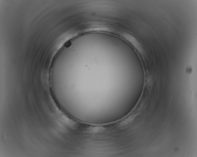 X0000093251282200710031555