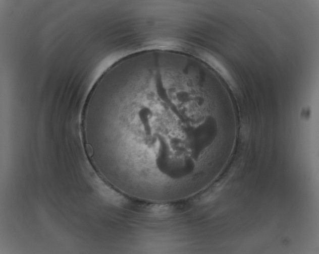 X0000093251283200710031555