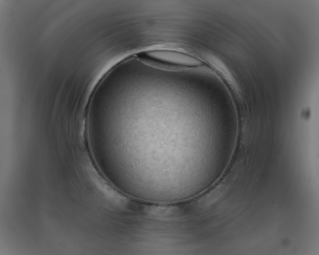 X0000093251284200710031555