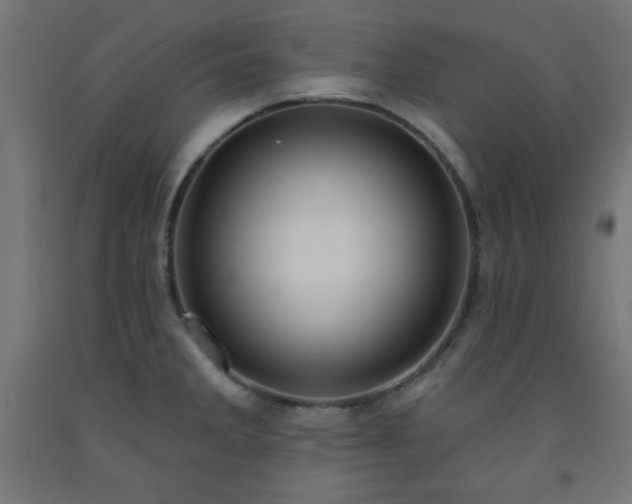 X0000093251285200710031555