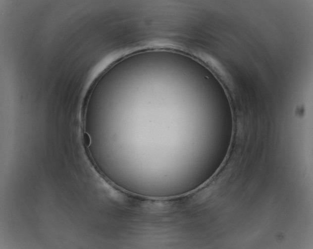 X0000093251286200710031555