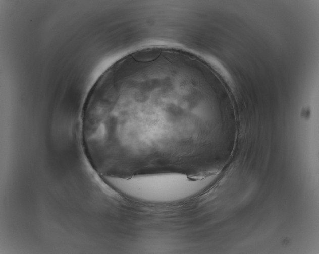 X0000093251287200710031555