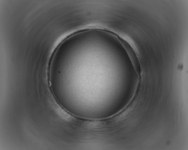 X0000093251288200710031555