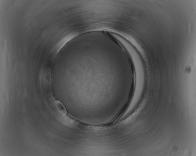 X0000093251289200710031555