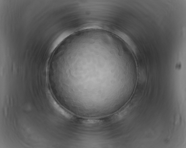 X0000093251290200710031555