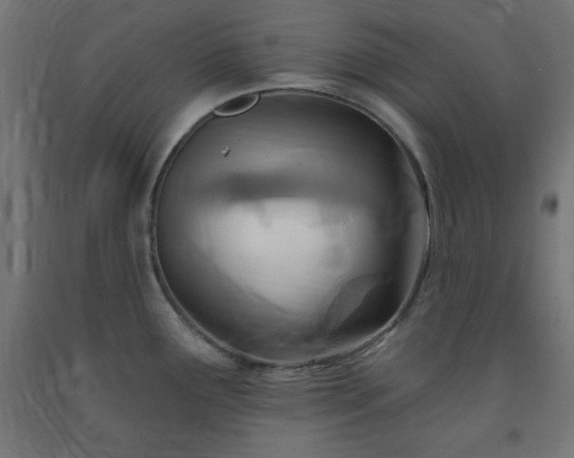 X0000093251291200710031555