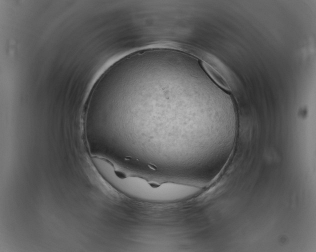 X0000093251292200710031555