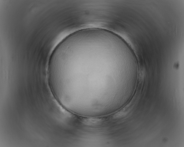 X0000093251294200710031555