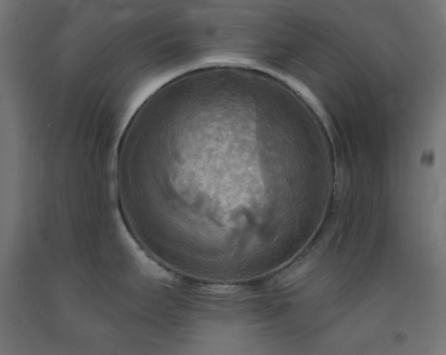 X0000093251295200710031555