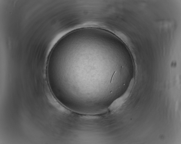 X0000093251296200710031555