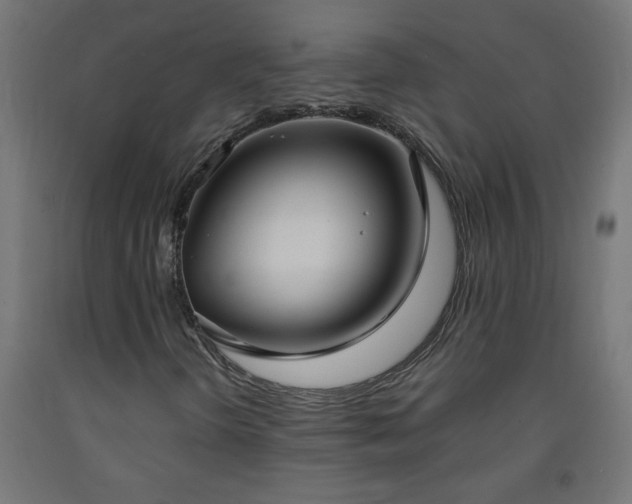 X0000093251298200710031555