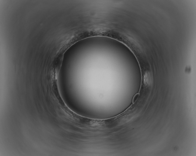 X0000093251299200710031555