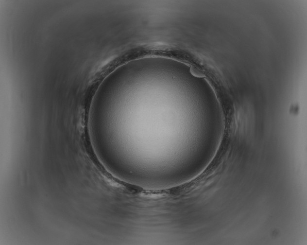 X0000093251301200710031555