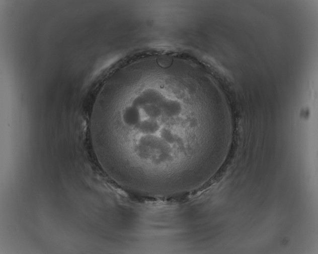 X0000093251302200710031555