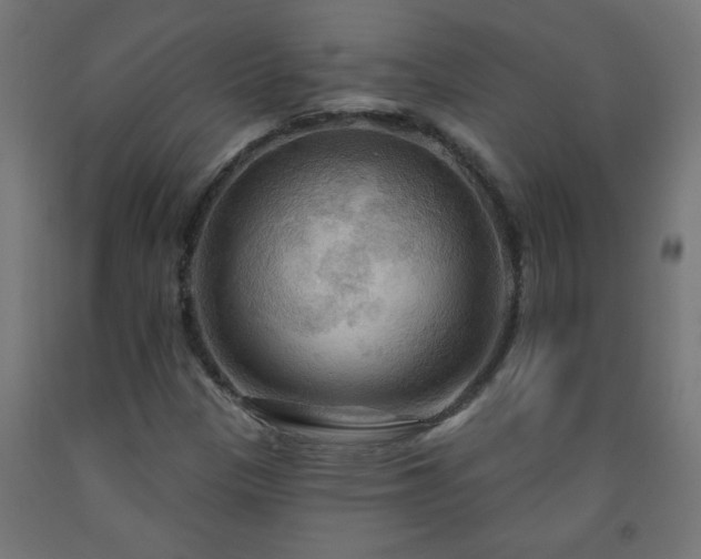 X0000093251305200710031555