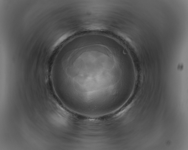 X0000093251306200710031555