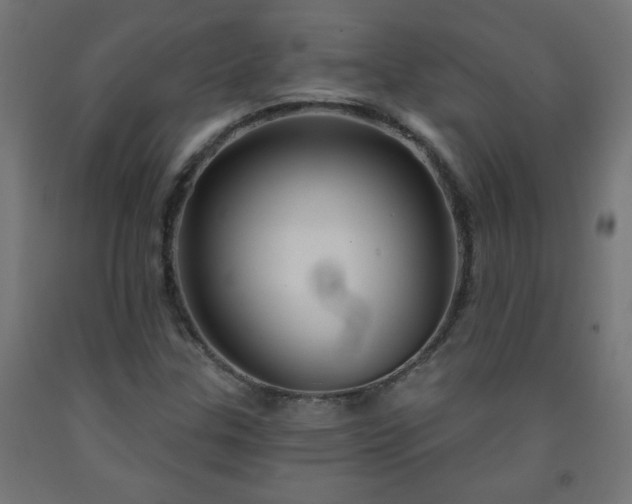 X0000093251307200710031555