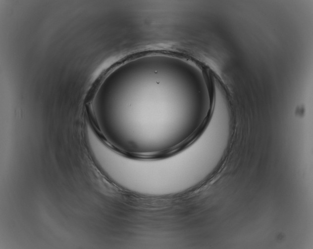 X0000093251308200710031555