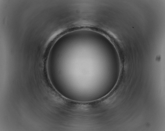 X0000093251309200710031555