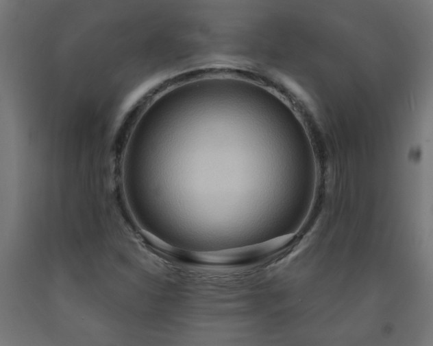 X0000093251310200710031555