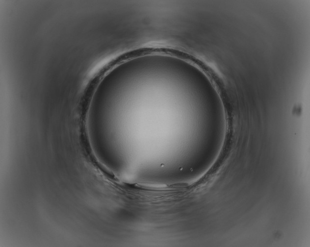 X0000093251311200710031555