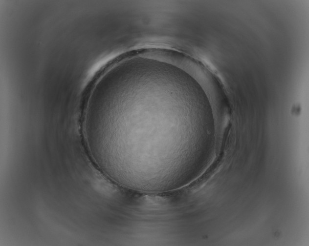 X0000093251312200710031555