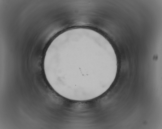 X0000093251314200710031555