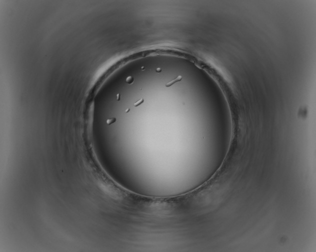 X0000093251316200710031555