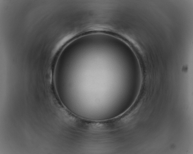 X0000093251317200710031555