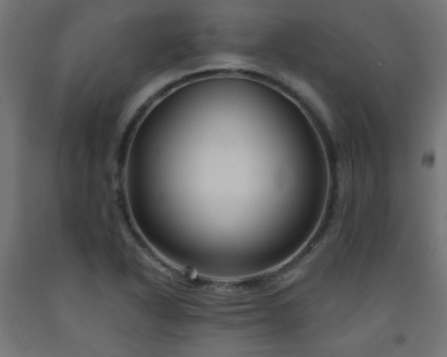 X0000093251318200710031555