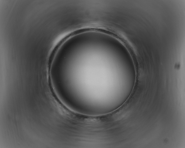 X0000093251320200710031555