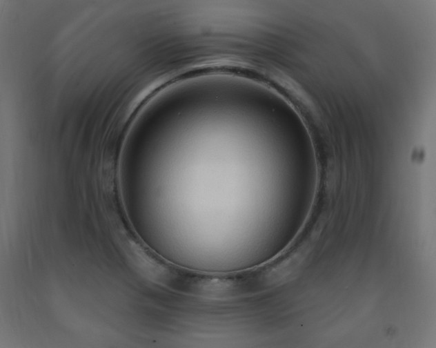 X0000093251321200710031555