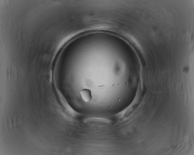 X0000093251324200710031555