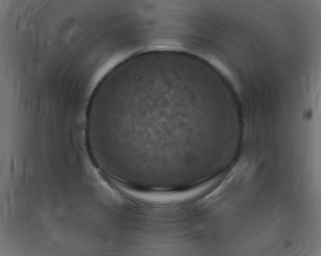 X0000093251325200710031555