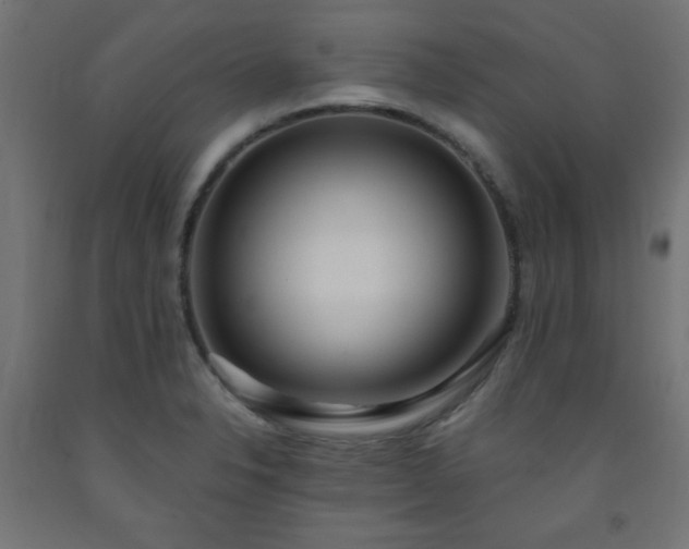 X0000093251326200710031555