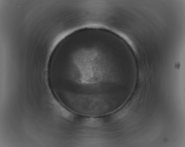 X0000093251327200710031555