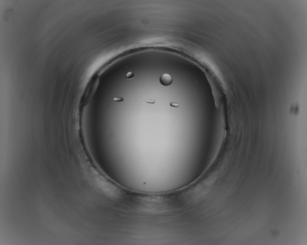 X0000093251328200710031555