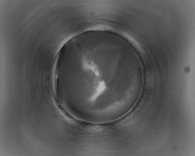 X0000093251329200710031555