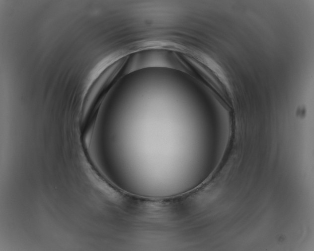 X0000093251330200710031555