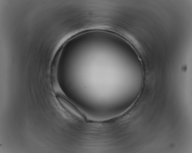 X0000093251332200710031555