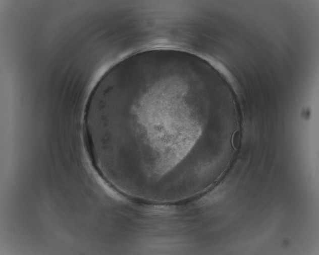 X0000093251333200710031555