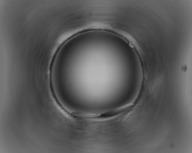 X0000093251335200710031555