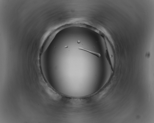 X0000093251336200710031555