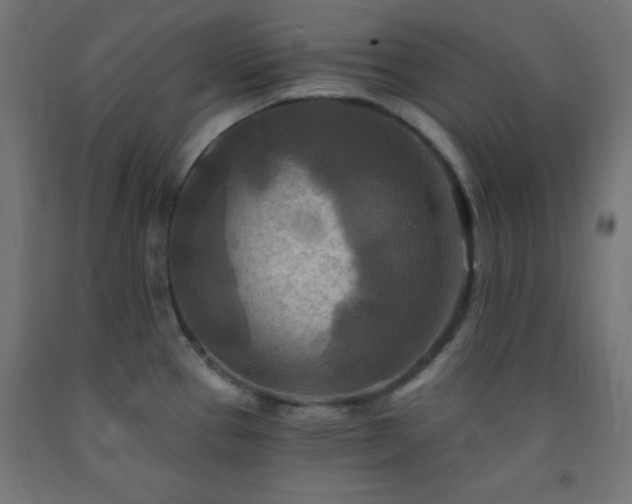 X0000093251337200710031555