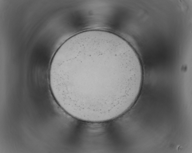 X0000093251338200710031555