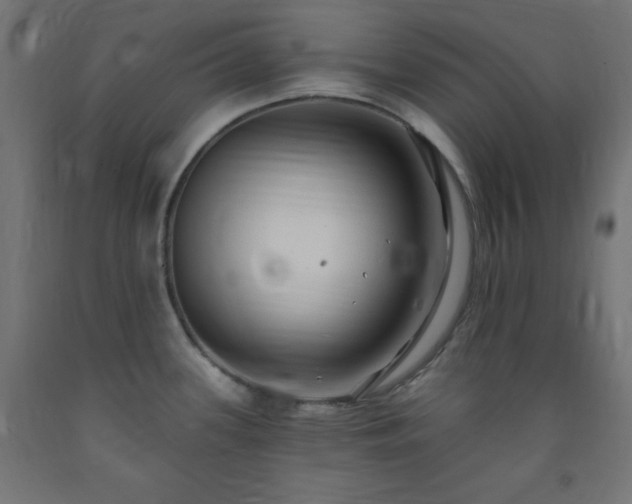 X0000093251339200710031555