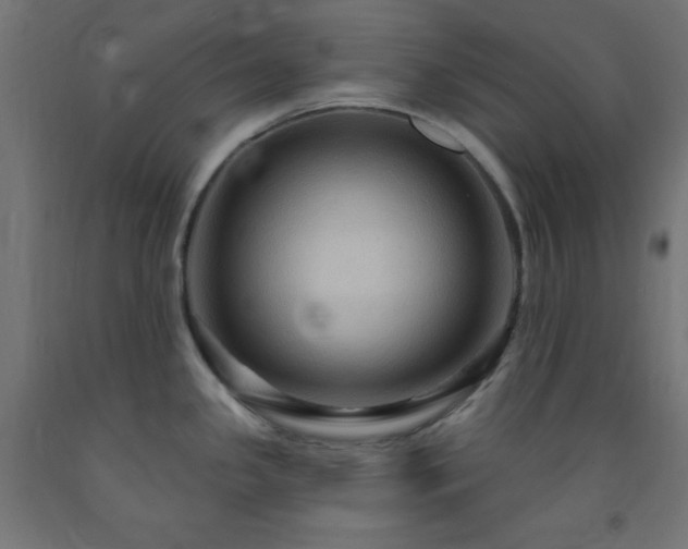 X0000093251341200710031555