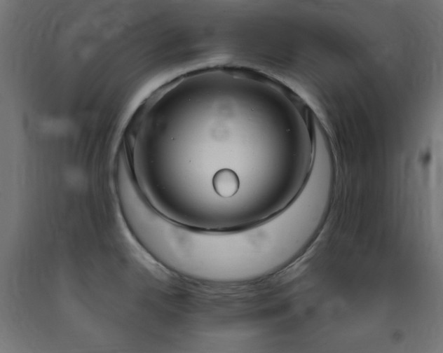 X0000093251342200710031555